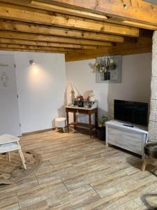 salon z telewizorem i drewnianym sufitem w obiekcie Au bout du pont w mieście Chaumont-sur-Loire