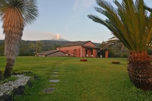 a house with a palm tree in the yard at Villa Marabbecca in Piedimonte Etneo