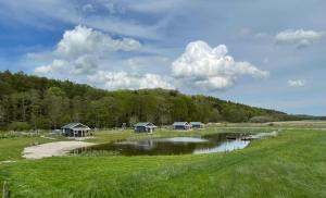 un grupo de casas en un campo junto a un lago en De Diepen, en Milsbeek