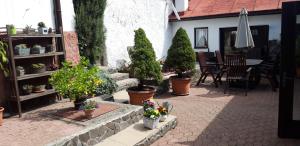 a patio with potted plants and a table with an umbrella at Ubytovanie v Banskej Štiavnici u Antalov in Banská Štiavnica