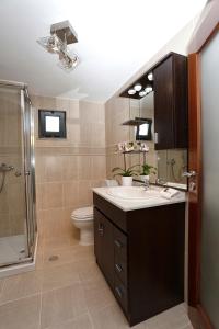 a bathroom with a sink and a shower and a toilet at Douro House in Tabuaço