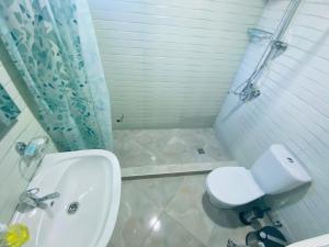 Koupelna v ubytování Guesthouse AlpenRose