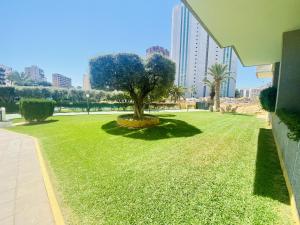 A garden outside A2 - Calasol - 2004 Finestrat