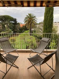 two chairs on a balcony with a palm tree at Les Palmiers in Saint-Cyr-sur-Mer