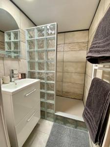 uma casa de banho com um lavatório e um chuveiro em Le Cosy City - Agde Centre em Agde
