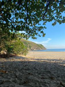 een uitzicht op een zandstrand met een boom bij Suítes Canto do Nema in Ilhabela