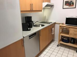 a small kitchen with a sink and a microwave at Steiner Strandappartements Appartement 106 Süd- Landseite in Stein