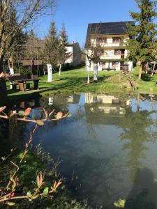 een vijver in een park met een bank en een gebouw bij Apartament i pokoje u Piotra in Sromowce Niżne