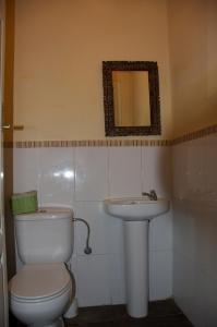 a bathroom with a toilet, sink and mirror at Albergue los Blasones in Sarria