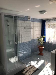 a bathroom with a shower and a potted plant at Apartament i pokoje u Piotra in Sromowce Niżne