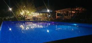 Billede fra billedgalleriet på Chateau ikalto i Ikalto + 43 billeder