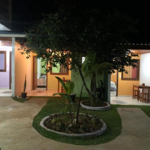un pequeño árbol en un patio frente a una casa en Trilhas da chapada Hospedagem, en Alto Paraíso de Goiás