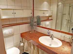 a bathroom with a sink and a toilet at fewo1846 Intermar - Kajuete Foerdeblick - familienfreundliches Studioapartment mit Balkon und Meerblick in Glücksburg