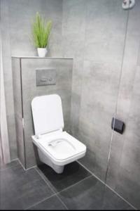 a bathroom with a toilet and a plant on the wall at Apartament U Bosmana in Dźwirzyno