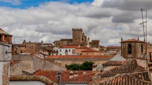Blick auf eine Stadt mit Gebäuden und Dächern in der Unterkunft ParrApartamentos Cáceres in Cáceres