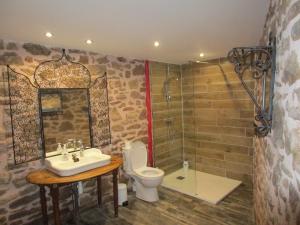a bathroom with a sink and a toilet and a shower at Grand Gîte à la ferme in Les Costes-Gozon +9 photos