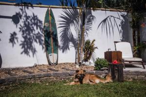 ein Hund, der im Gras neben einem Surfbrett liegt in der Unterkunft Planeta Banana Paraty in Paraty