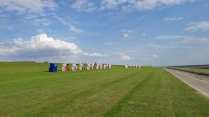 a field with a row of trash cans in the grass at Ferienwohnung Goden-Wind in Westerdeichstrich