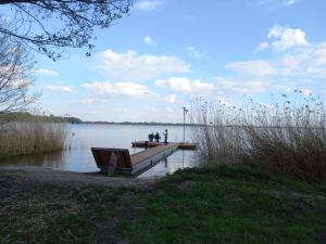 Przyroda w pobliżu tego domu wakacyjnego