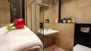 Bagno di Apartamenty Czerwone Maki Wisła