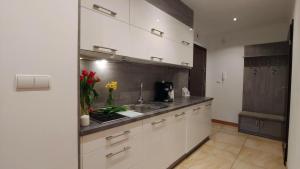 Cucina o angolo cottura di Apartamenty Czerwone Maki Wisła