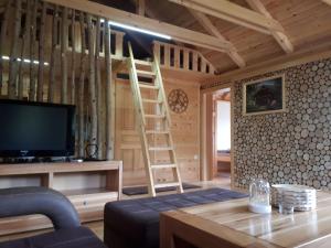 a living room with a tv and a ladder at Wooden House Ripac in Bihać