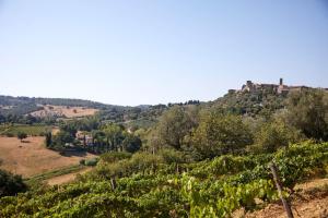 モンテメラノにあるAgriturismo La Baroncellaの丘の上に城があるブドウ畑