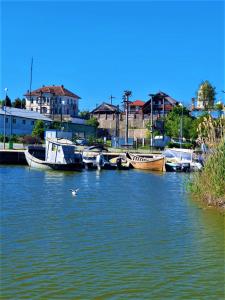 a bird flying over a body of water with boats at Casa Pavel Jurilovca in Jurilovca