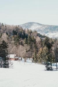 Príroda v okolí apartmánu