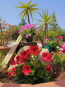 a bunch of flowers in a garden with palm trees at Frida casavacanze in Castellammare del Golfo