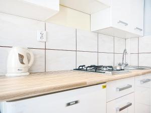 Kuchyňa alebo kuchynka v ubytovaní Apartament Kameralny na Starówce + 11 fotografií