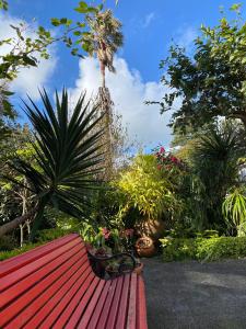 ポンタ・デルガダにあるCasa de Santa Margaridaの背景のヤシの木と植物の赤いベンチ