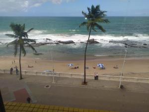 a view of a beach with palm trees and the ocean at Flat no Farol da Barra in Salvador