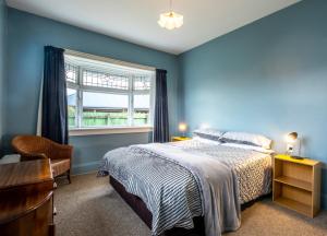 a blue bedroom with a bed and a window at 5 Amuri Avenue in Hanmer Springs