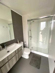 a bathroom with a shower and a toilet and a sink at Departamento 3 poniente Viña del Mar in Viña del Mar