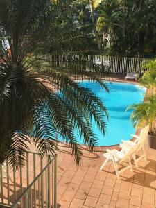 a swimming pool with two chairs and a palm tree at Appart-97290- Vue magnifique sur Mer in Le Marin