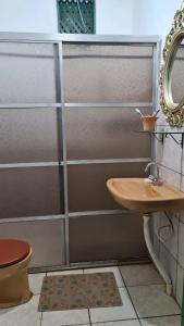 W łazience znajduje się umywalka, toaleta i lustro. w obiekcie Chacara bica dágua w mieście Pirenópolis