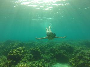a person swimming in the ocean over a reef at El Hamaquero Hostal EcoNativo in Isla Grande