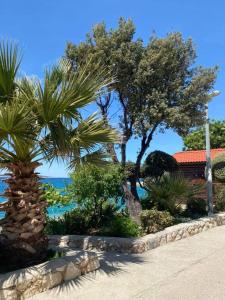 a garden with palm trees and the ocean at Apartma Šelih Mandre - Pag in Mandre