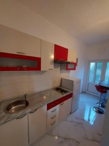 eine Küche mit Spüle und Arbeitsplatte in der Unterkunft Apartments Pitarević in Saplunara