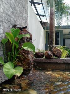 TEBiNG Guest House Taman Negara Malaysia Kuala Tahan外面的花园