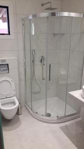 une salle de bain avec douche et toilettes dans l'établissement HOUSE DILENA TSIMTSIRI Luxury Apartment 2, à Limenaria 19 autres photos