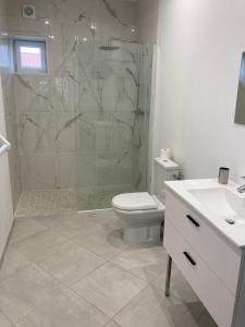 a bathroom with a shower and a toilet and a sink at Appartement cour ancienne abbaye in Saint-Astier +8 photos
