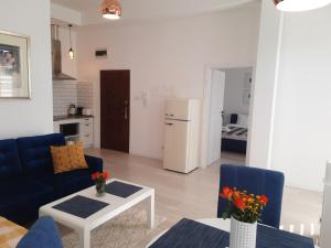 Kuchnia lub aneks kuchenny w obiekcie Apartamenty Jantar