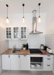 Kuchnia lub aneks kuchenny w obiekcie Apartamenty Jantar