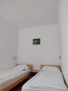 Uma cama ou camas num quarto em Zlatni San