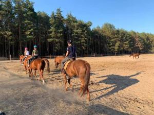 Zvieratá na farme alebo blízkom okolí