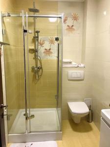 a bathroom with a shower with a toilet and a sink at Casa Pino in Braşov