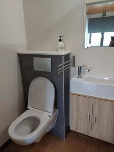 La salle de bains est pourvue de toilettes blanches et d'un lavabo. dans l'établissement Paradise, à Aan de Wolfsberg