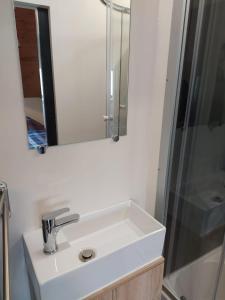 een wastafel in de badkamer met een spiegel en een douche bij Paradise in Aan de Wolfsberg